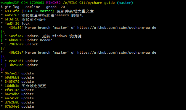 Git 详细使用指南